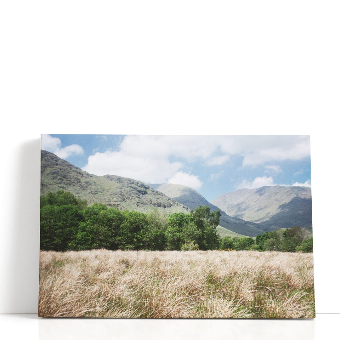 Scenic mountain wall decor with open fields