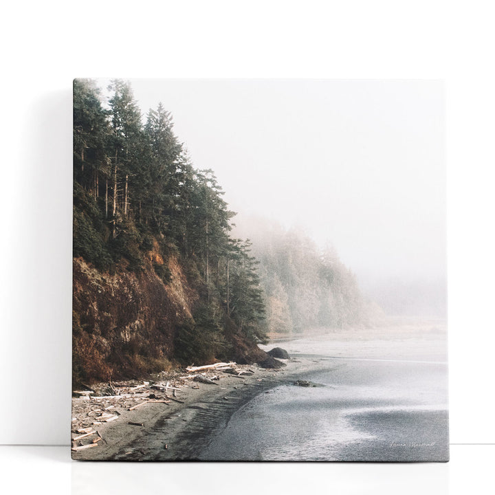Salt Creek III - Canvas Print Wall Art