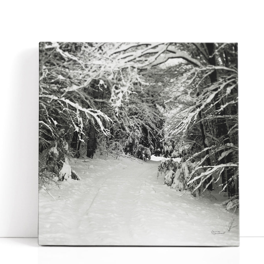 Snowed In - Canvas Print Wall Art