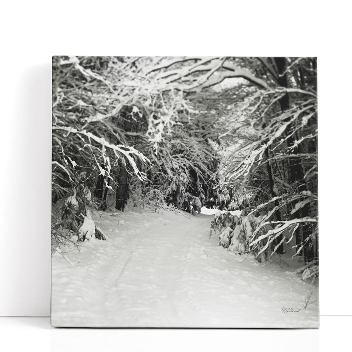 Snowed In - Canvas Print Wall Art