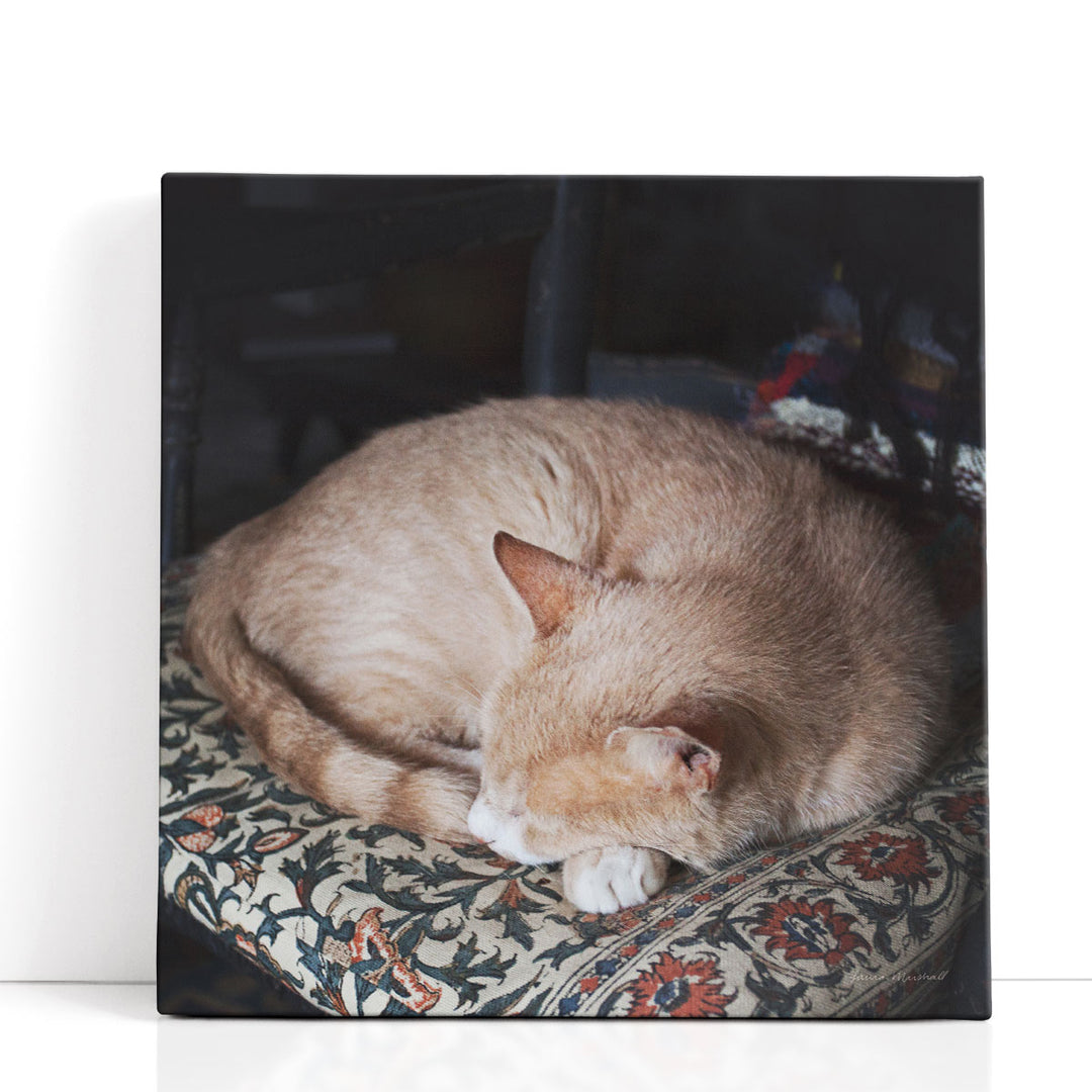 Sleepy Afternoon - Canvas Print Wall Art