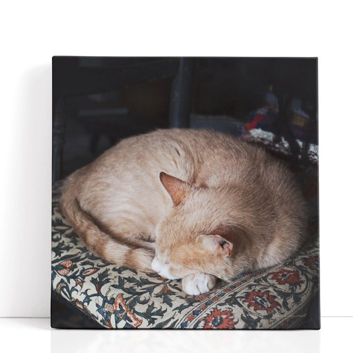 Sleepy Afternoon - Canvas Print Wall Art
