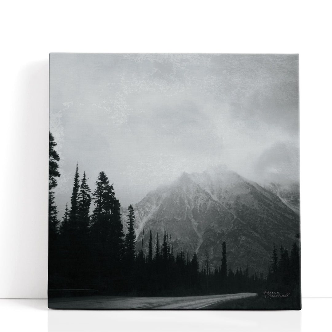 West Coast Wandering III Black and White - Canvas Print Wall Art