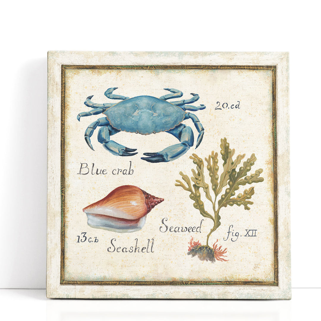 Oceanography IV - Canvas Print Wall Art