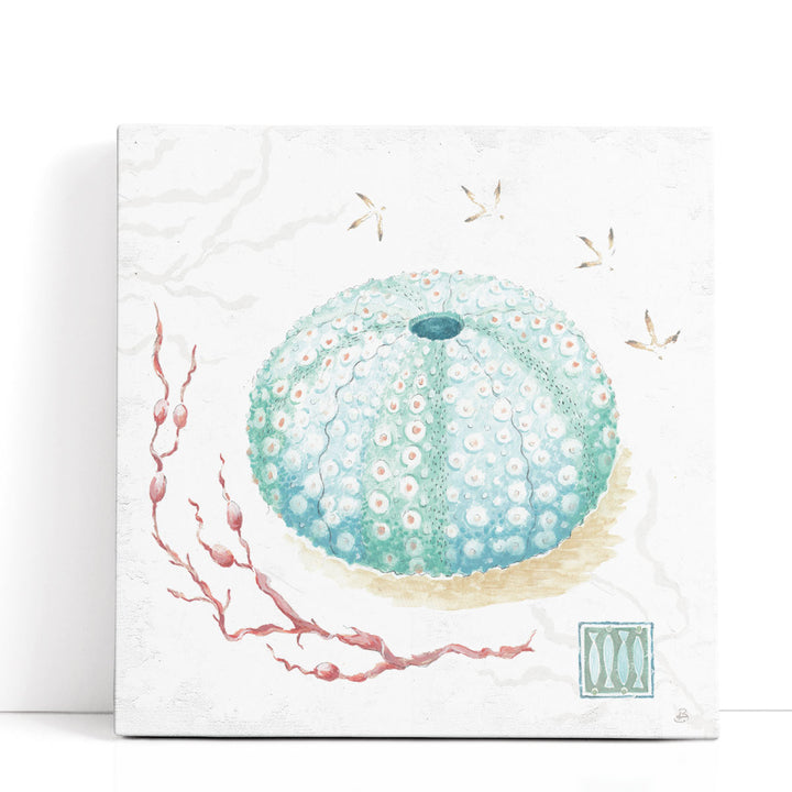 Delicate Sea VII - Canvas Print Wall Art