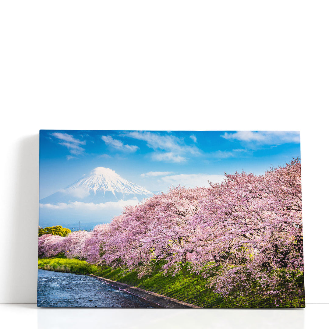 Spring Landscape Prints – pink blossom