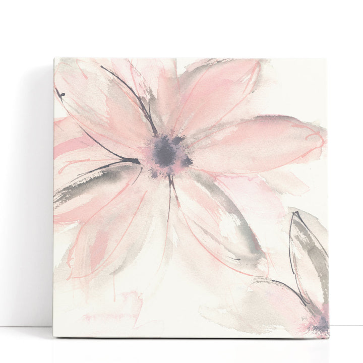 Blush Clematis II - Canvas Print Wall Art