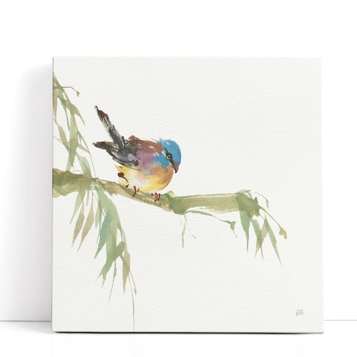 Finch - Canvas Print Wall Art