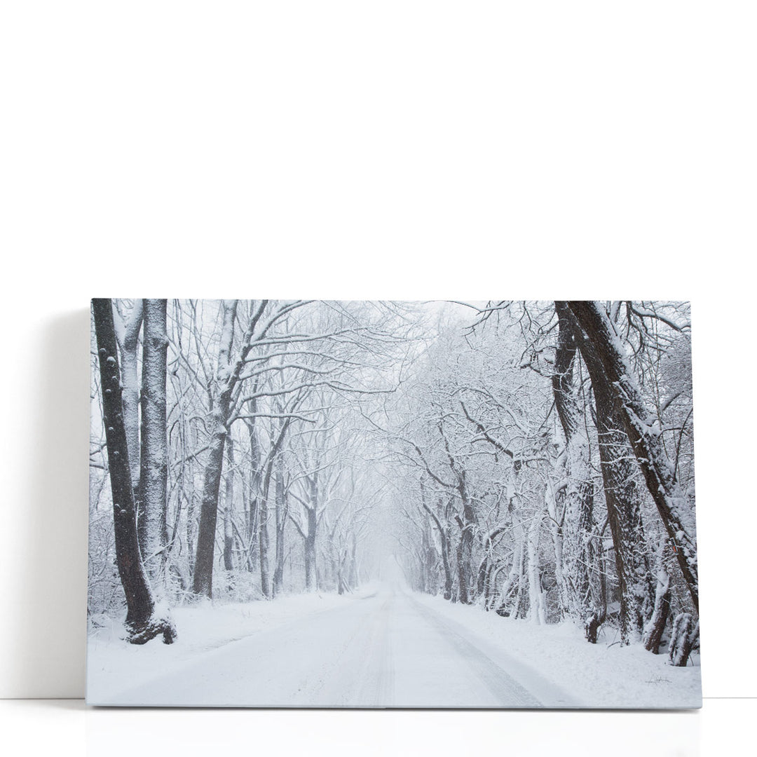 Going Home Black and White - Canvas Print Wall Art