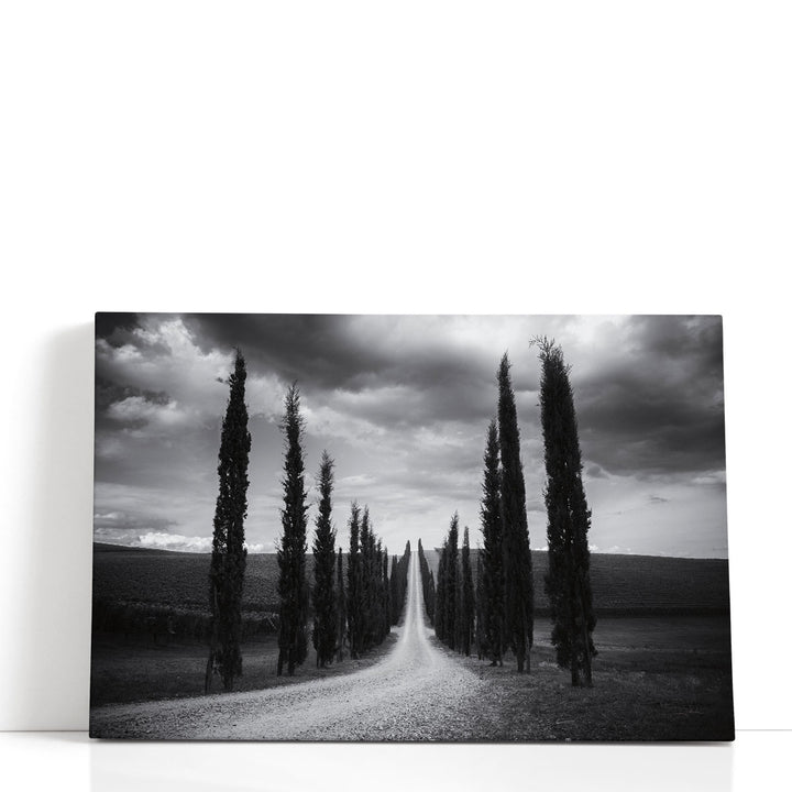 Travelling in Tuscany Black and White - Canvas Print Wall Art