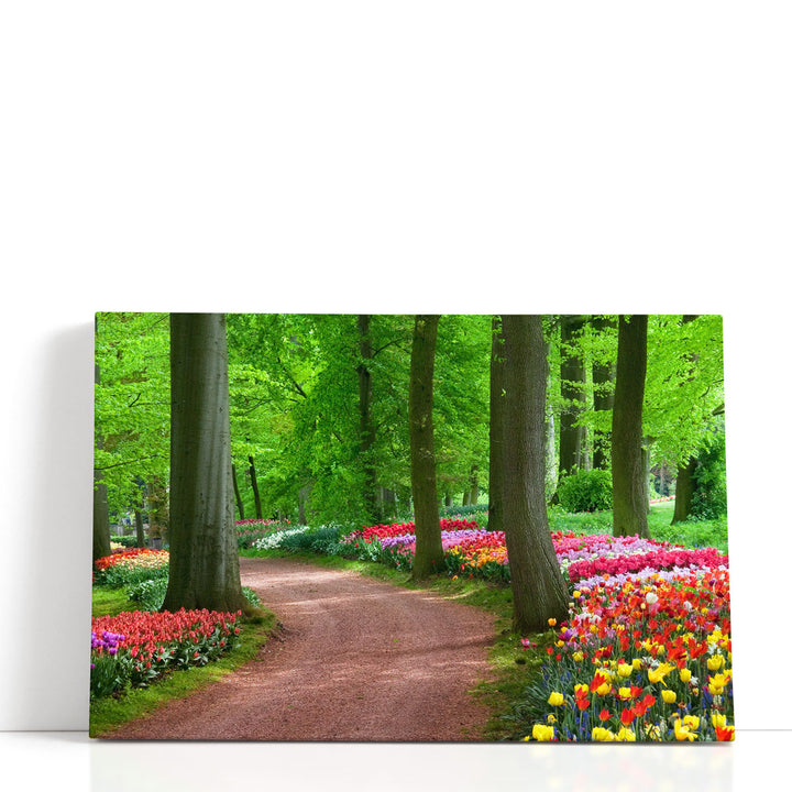 Beauty of Spring, Colorful Tulips - Canvas Print Wall Art