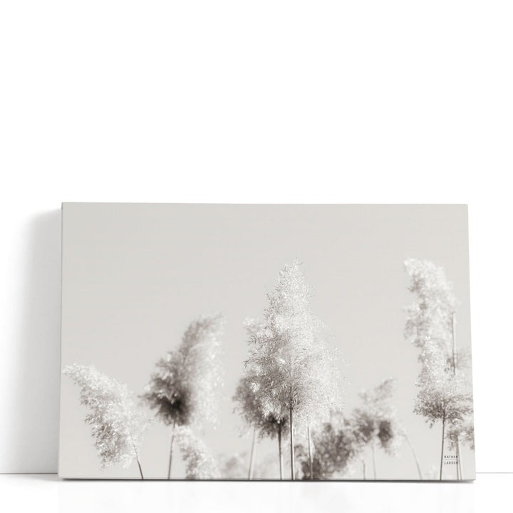 In the Wind I - Canvas Print Wall Art