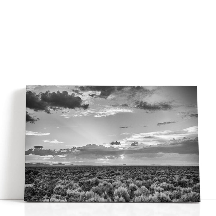 American Sage - Canvas Print Wall Art