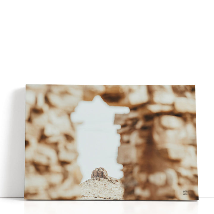 Through Ruins - Canvas Print Wall Art