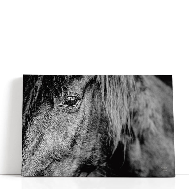 Mustang - Canvas Print Wall Art