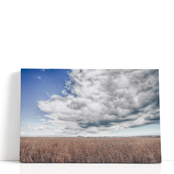 Soy Fields - Canvas Print Wall Art