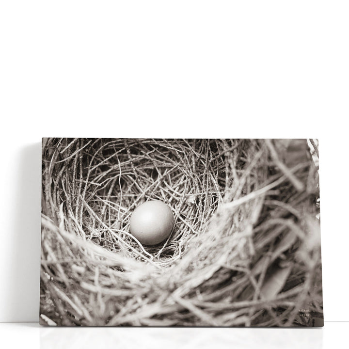 Nesting - Canvas Print Wall Art