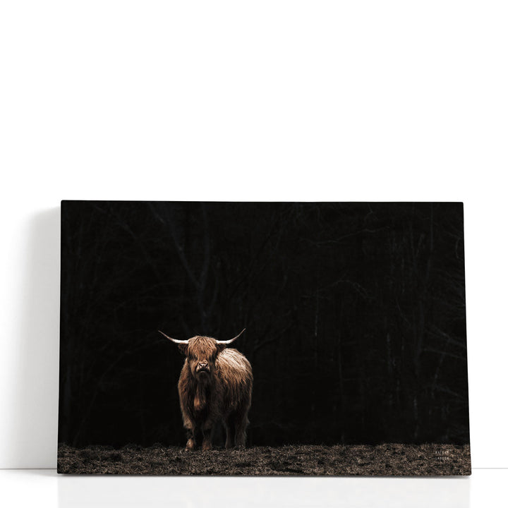 Highland Cow King of the Hill - Canvas Print Wall Art