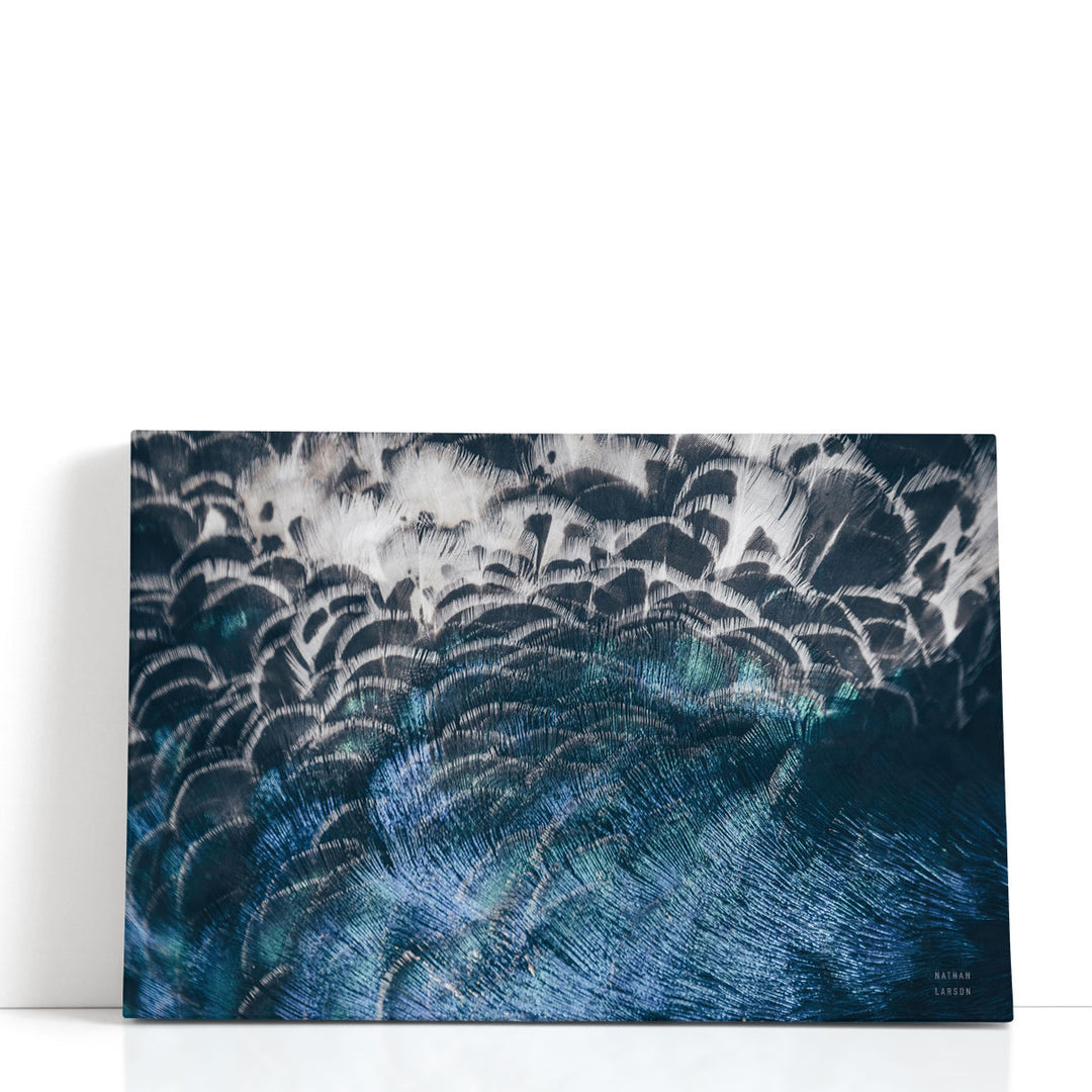 Blue Peacock Wall Art vibrant feather design