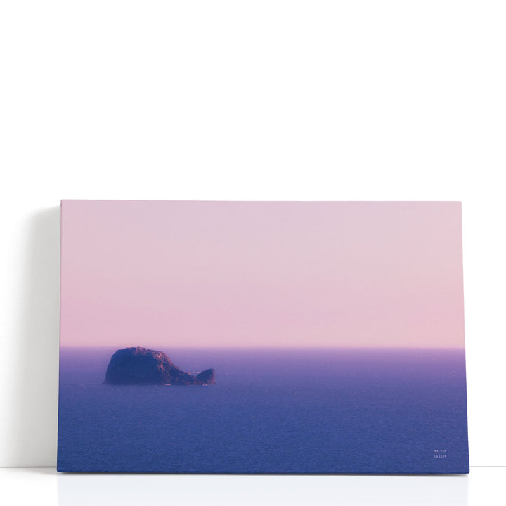 Whale Rock - Canvas Print Wall Art