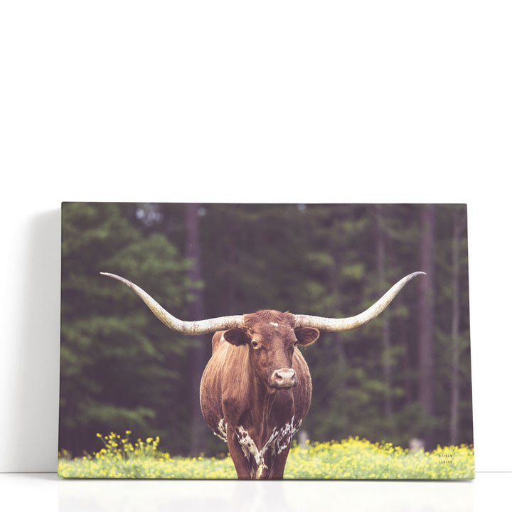 Longhorn Flowers - Canvas Print Wall Art
