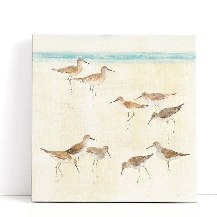 Sandpipers - Canvas Print Wall Art