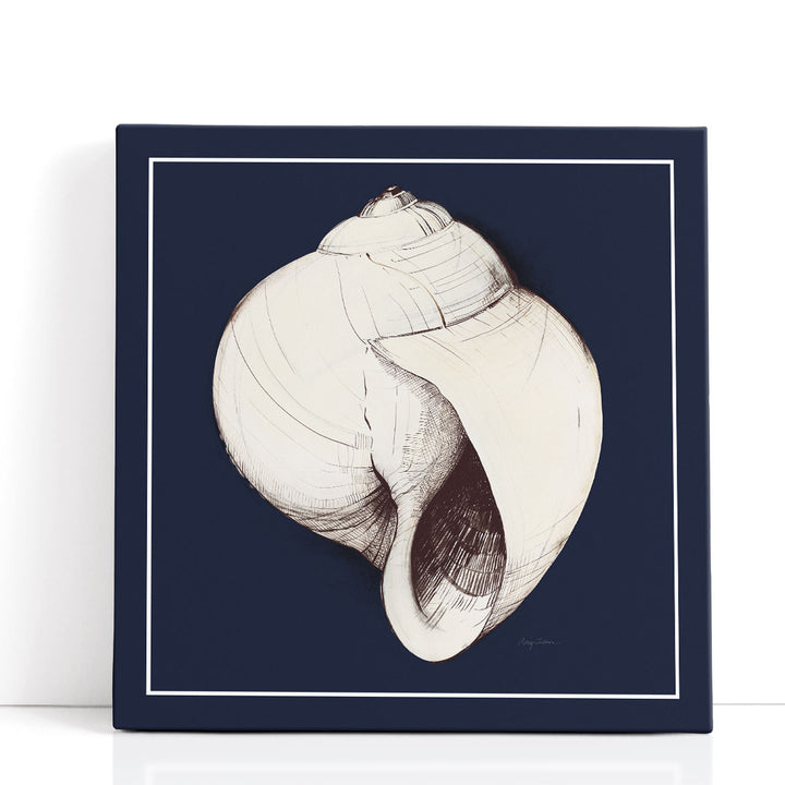 Coastal Shell I with Border Navy - Canvas Print Wall Art