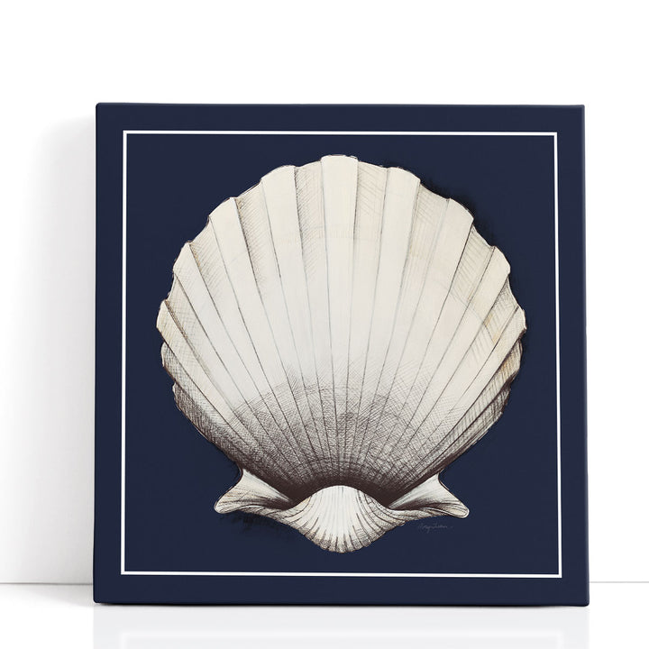 Coastal Shell II with Border Navy - Canvas Print Wall Art