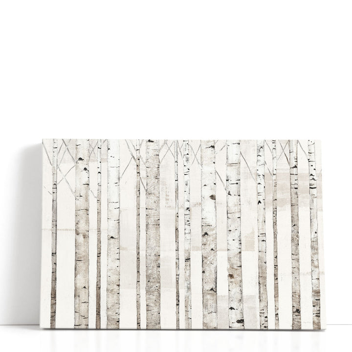 Birch Trees on White - Canvas Print Wall Art
