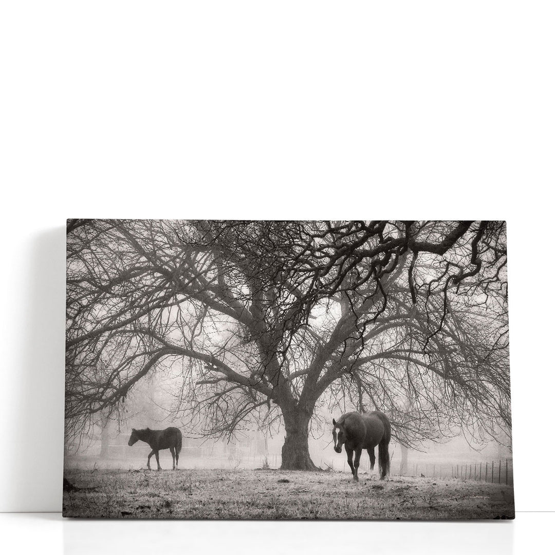 Autumn tree canvas art black and white forest