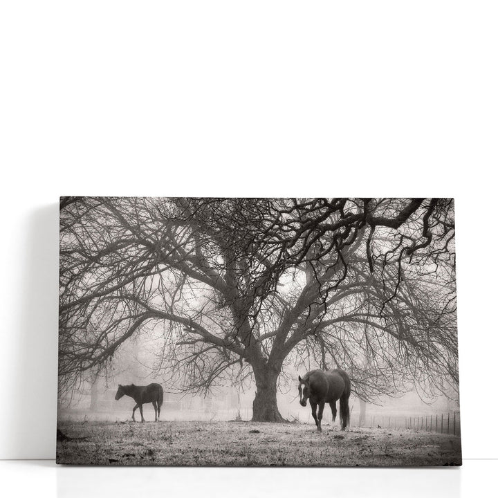 Autumn tree canvas art black and white forest