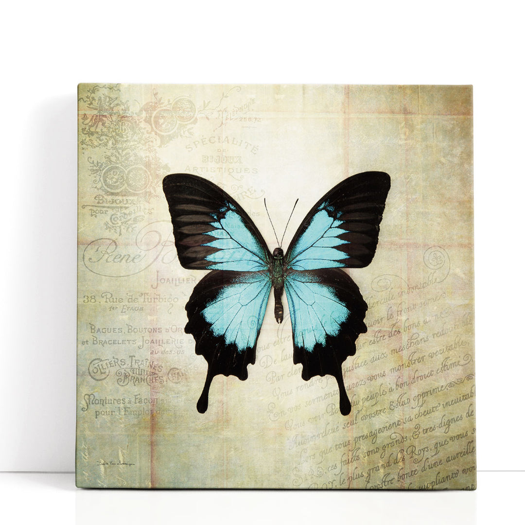 French Butterfly III - Canvas Print Wall Art