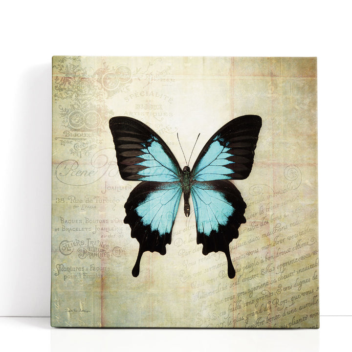 French Butterfly III - Canvas Print Wall Art