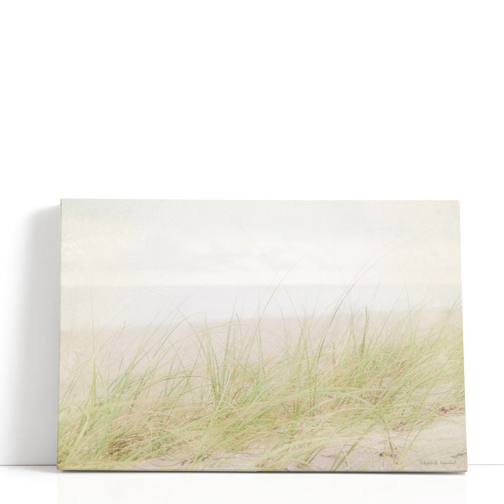 Beach Grass IV - Canvas Print Wall Art