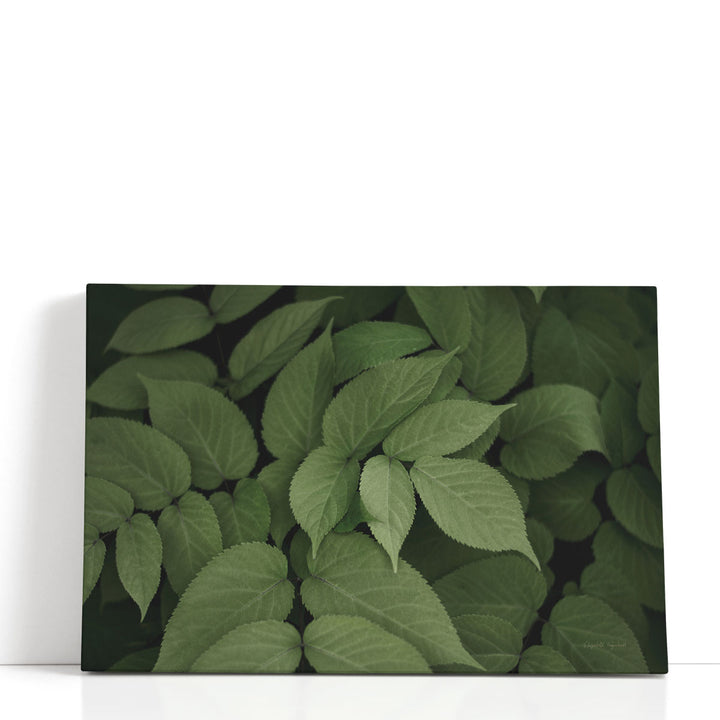 Leafy I - Canvas Print Wall Art
