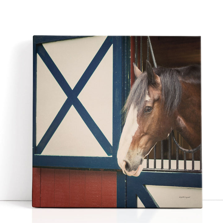 Patriotic Pony I - Canvas Print Wall Art