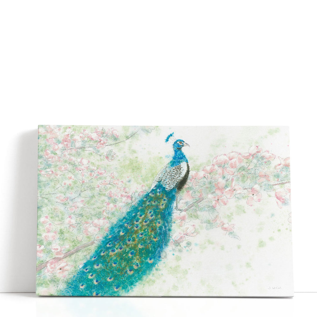 Spring Peacock I Pink Flowers - Canvas Print Wall Art