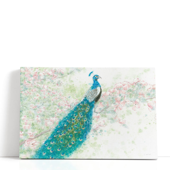 Spring Peacock I Pink Flowers - Canvas Print Wall Art