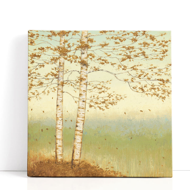 Golden Birch I with Blue Sky - Canvas Print Wall Art