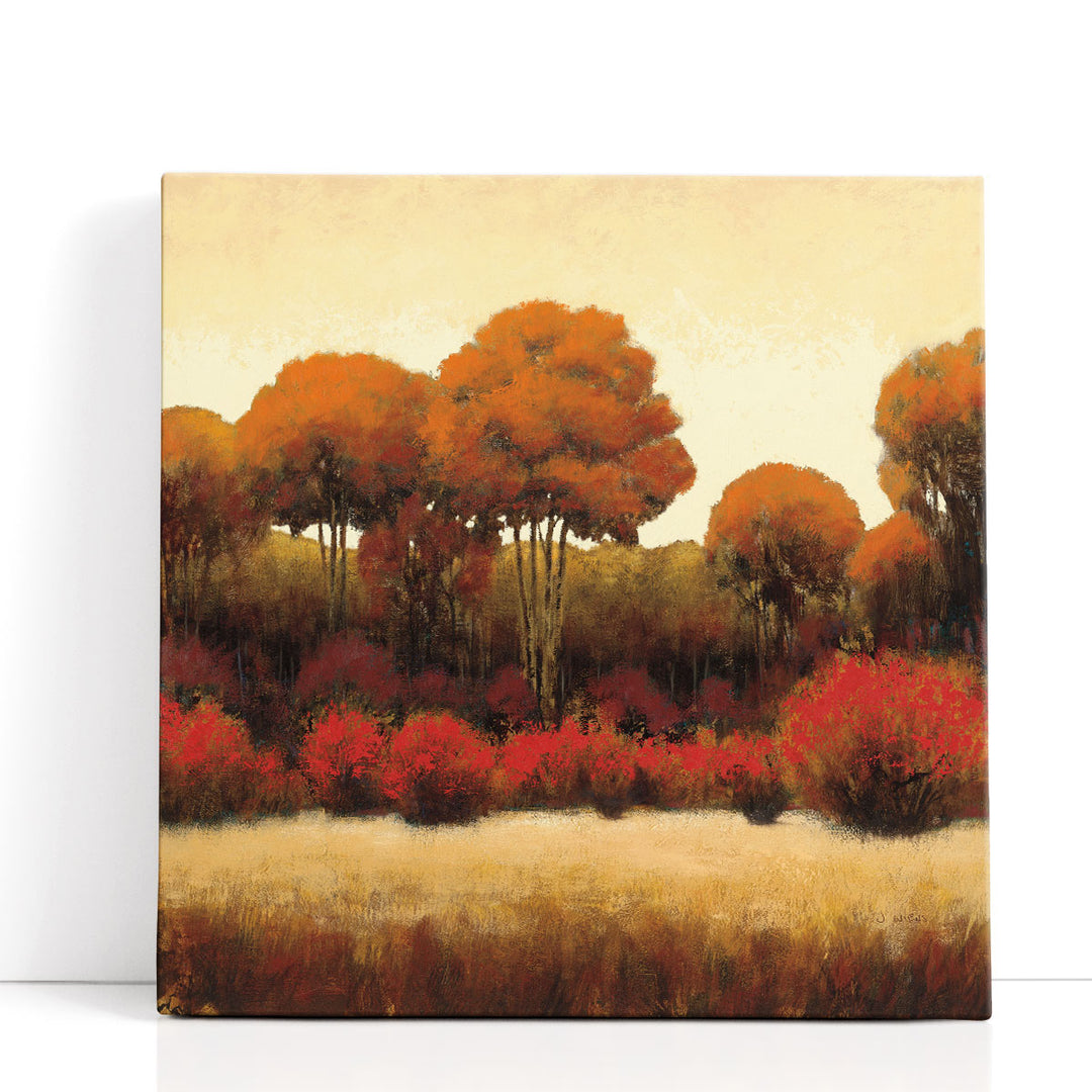 Autumn Forest II - Canvas Print Wall Art