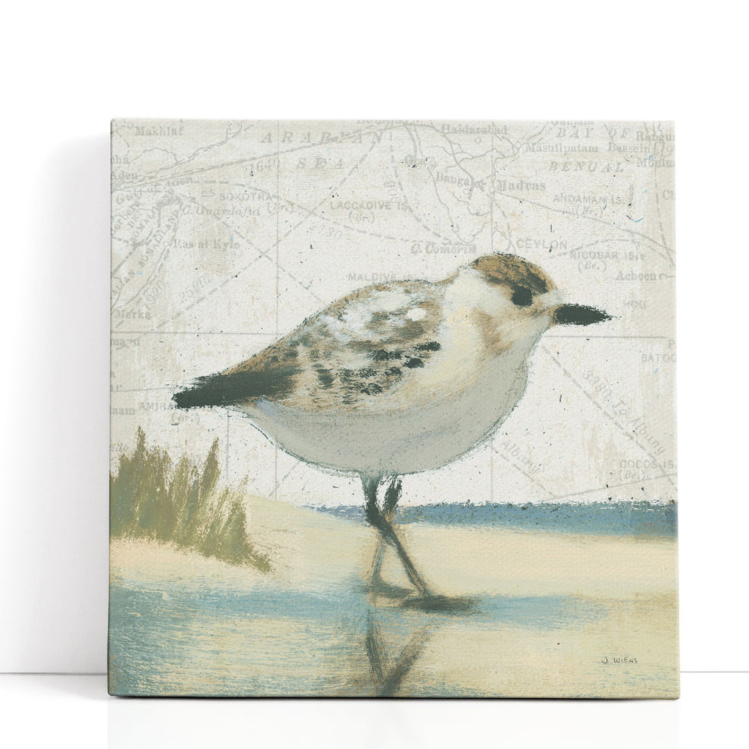 Beach Bird I- Canvas Print Wall Art