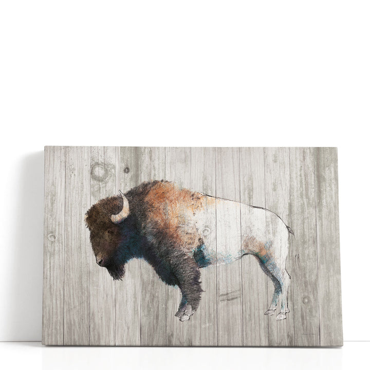 Colorful Bison Dark Brown on Wood - Canvas Print Wall Art