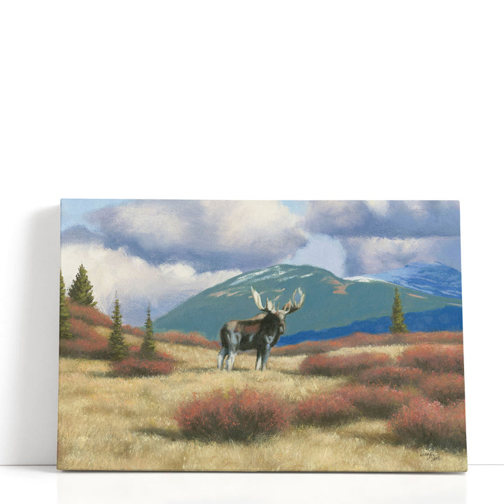 Northern Moose - Canvas Print Wall Art