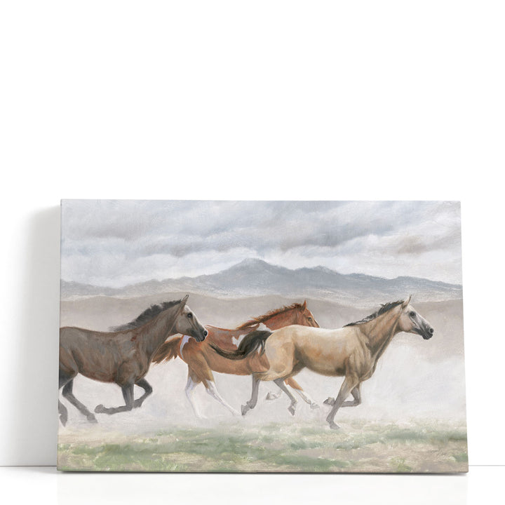 Wild Horses - Canvas Print Wall Art