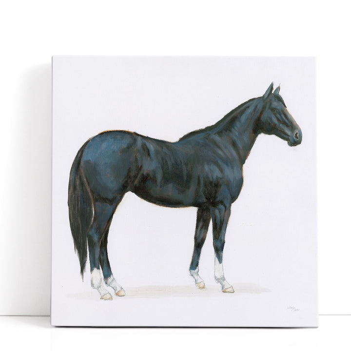 Black Horse - Canvas Print Wall Art