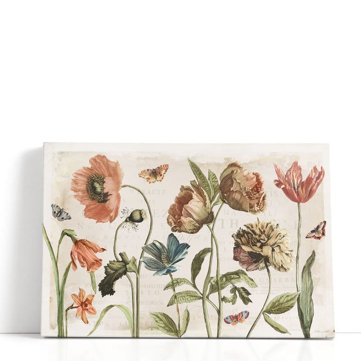 Antiquarian Blooms I - Canvas Print Wall Art