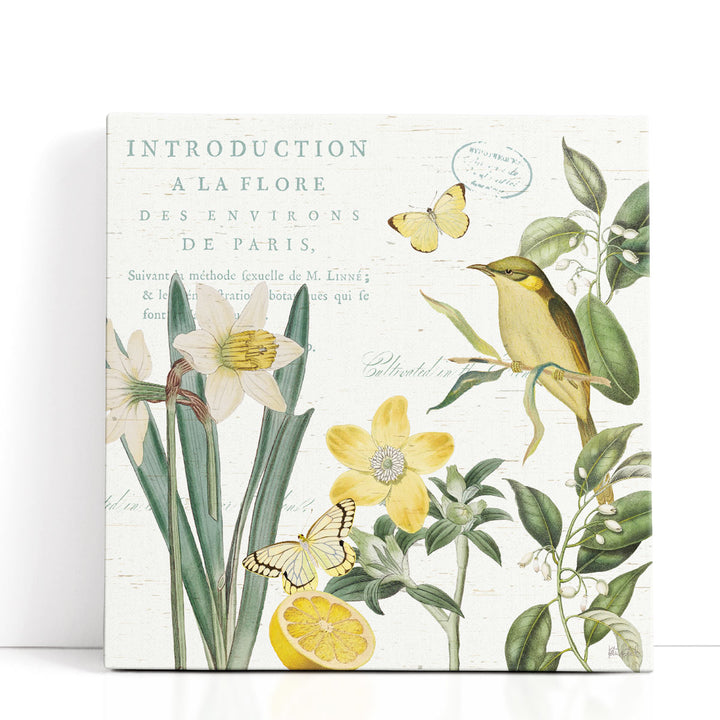Citron Curiosities III - Canvas Print Wall Art