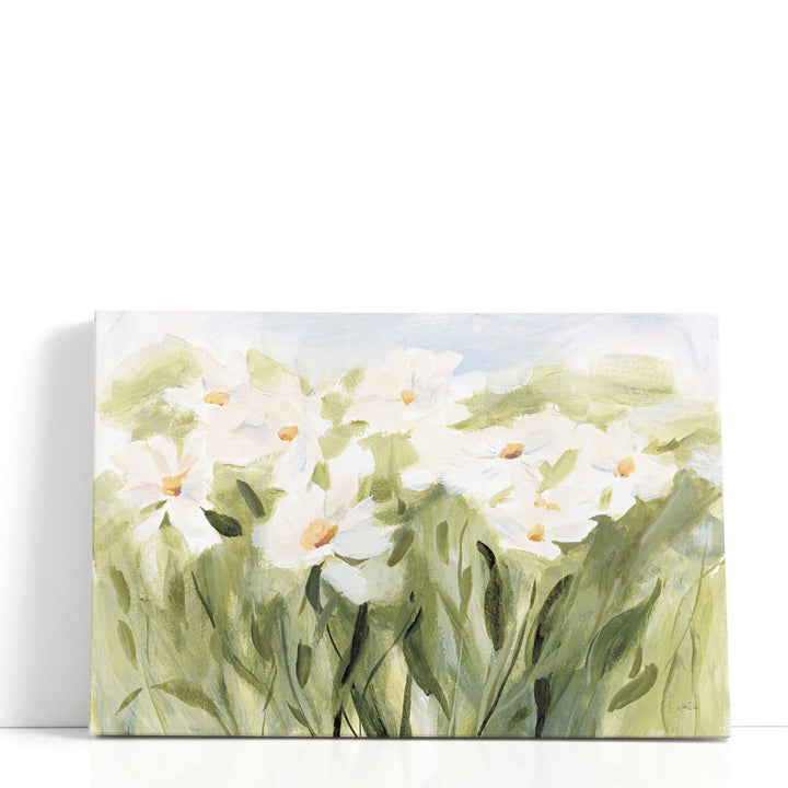 Daisy Meadow - Canvas Print Wall Art