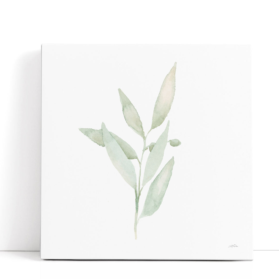 Sage II - Canvas Print Wall Art