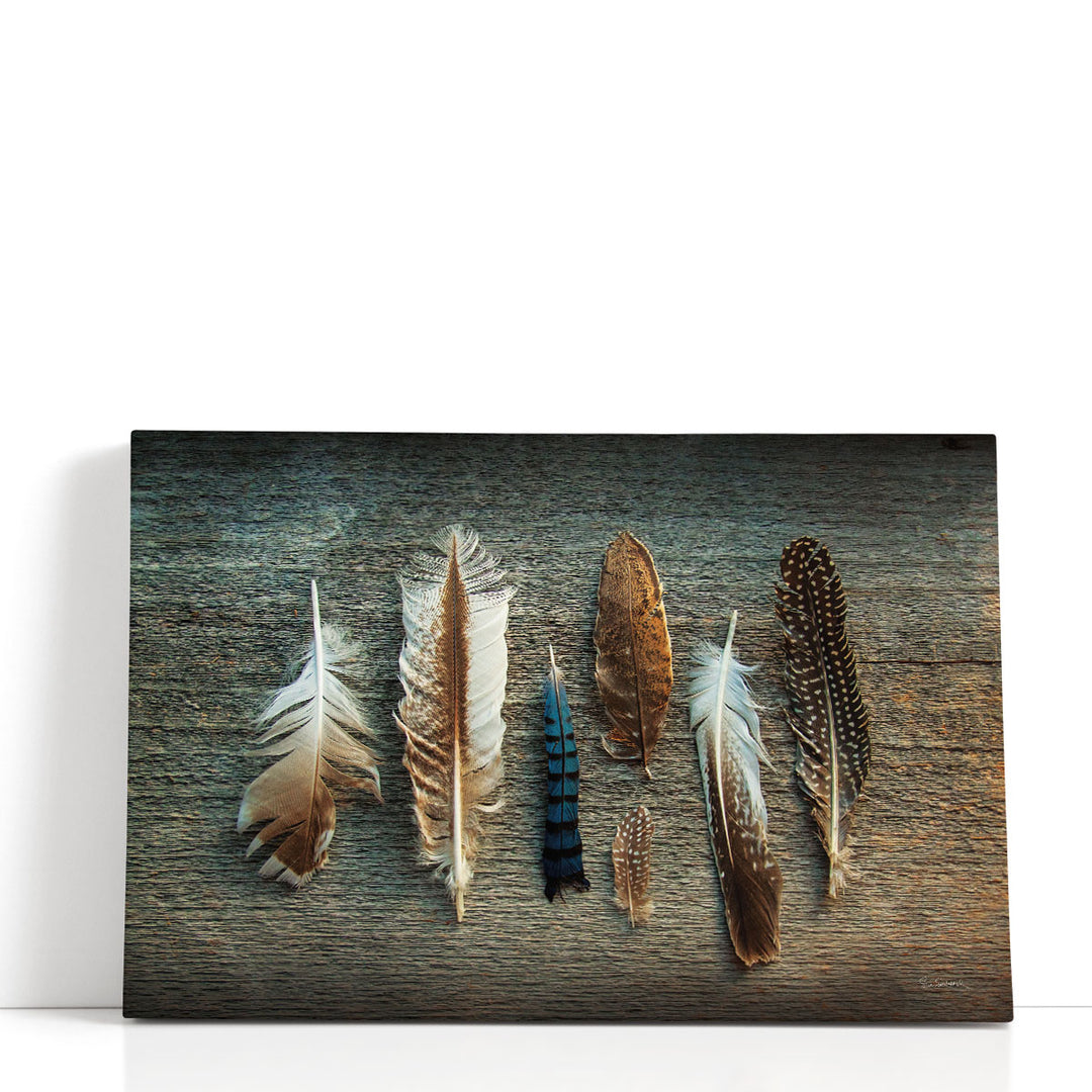 Feather Collection I - Canvas Print Wall Art